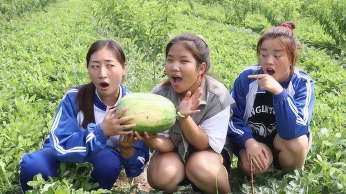 吃姐妹瓜,共享甜蜜瓜果时光