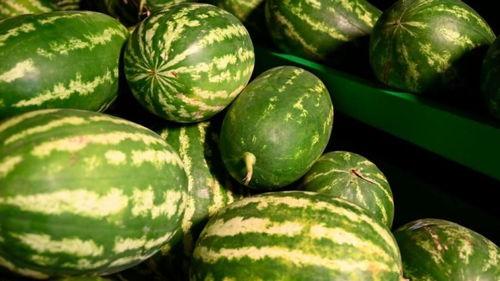 盘锦网红吃瓜事件,一场网络狂欢背后的真相揭秘