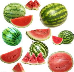 南永瑜吃瓜,揭秘娱乐圈背后的那些事儿