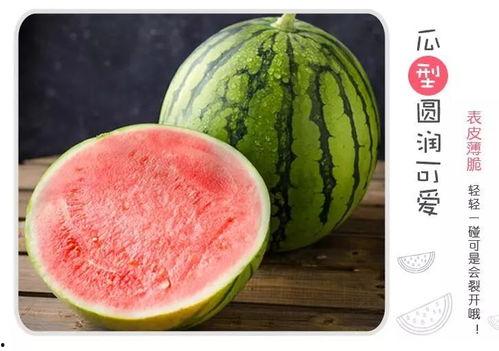 珠子界吃瓜,揭秘吃瓜背后的珠子江湖