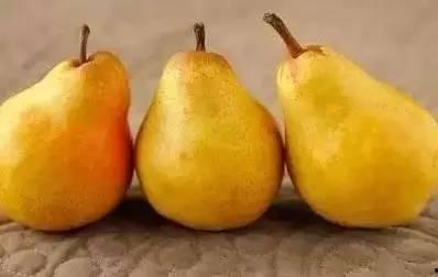 吃瓜的性质,一场全民参与的娱乐盛宴