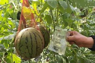 沐雨吃瓜,揭秘娱乐圈那些不为人知的幕后故事