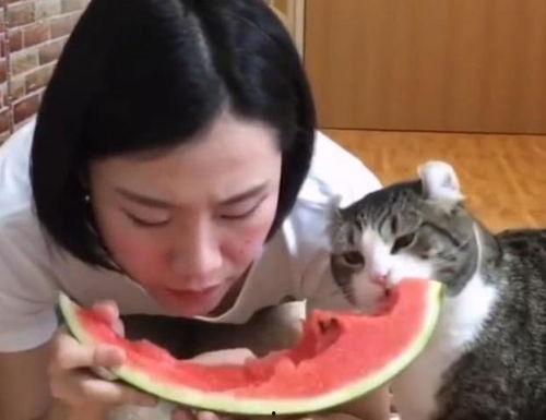 喵主吃瓜,揭秘娱乐圈那些不为人知的幕后故事