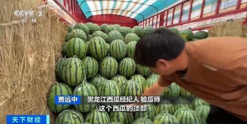 在什么平台吃瓜